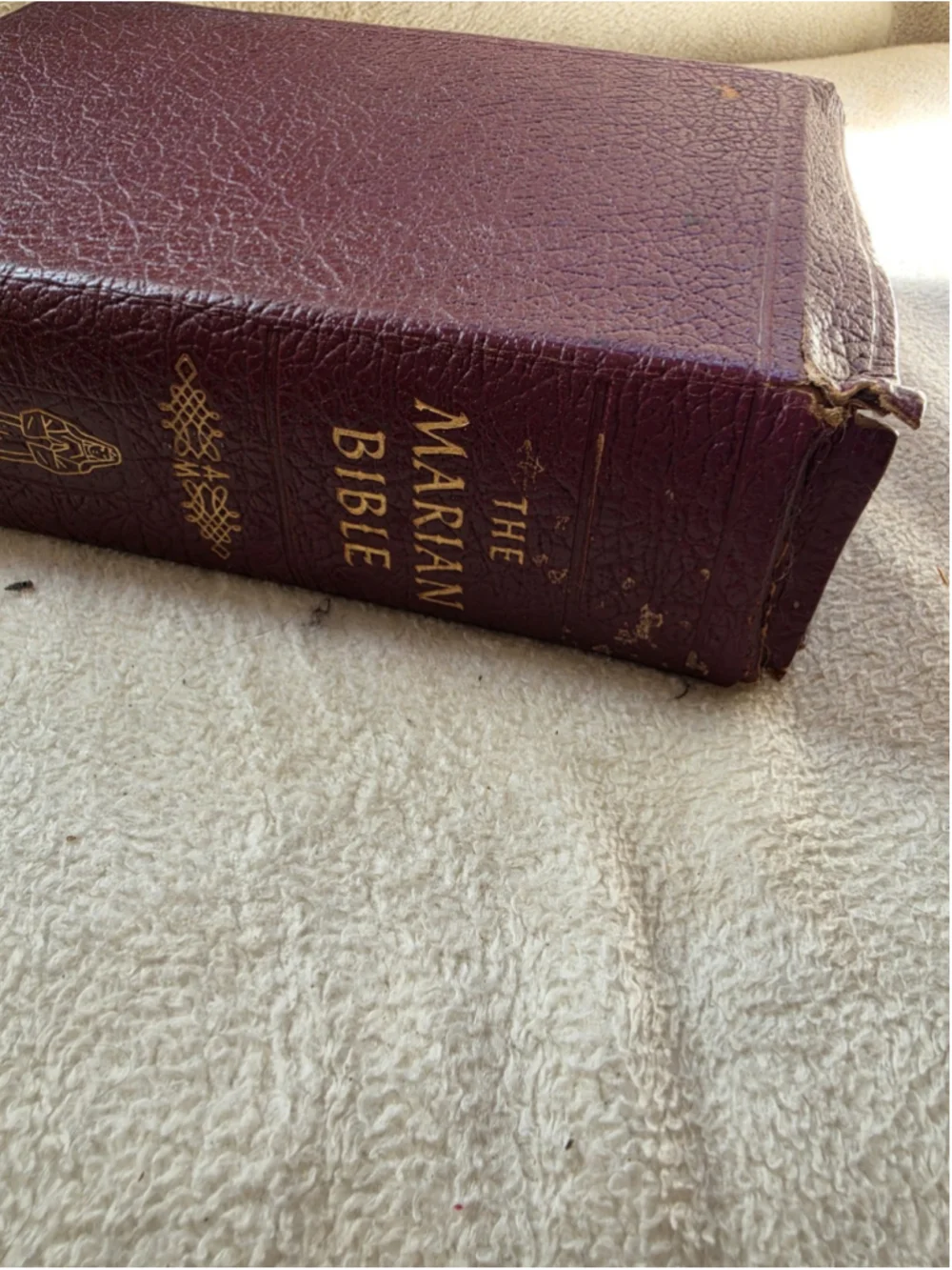 Vintage 1953 Family Rosary Edition Holy Bible - Catholic Press, Rev. O'Connell